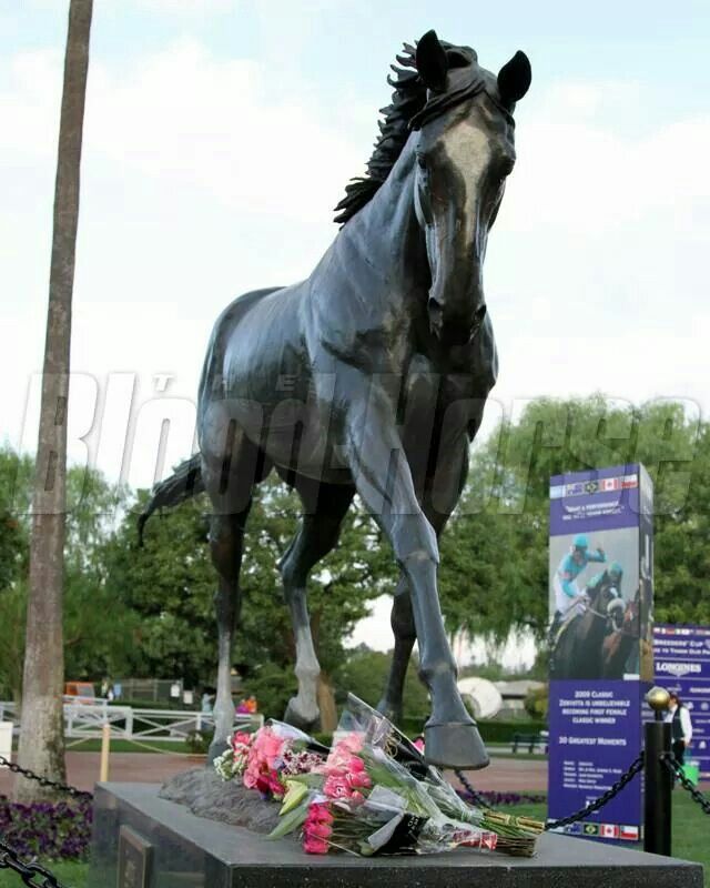 Zenyatta Horse