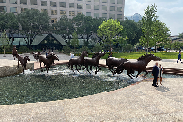 Mustangs of Las Colinas