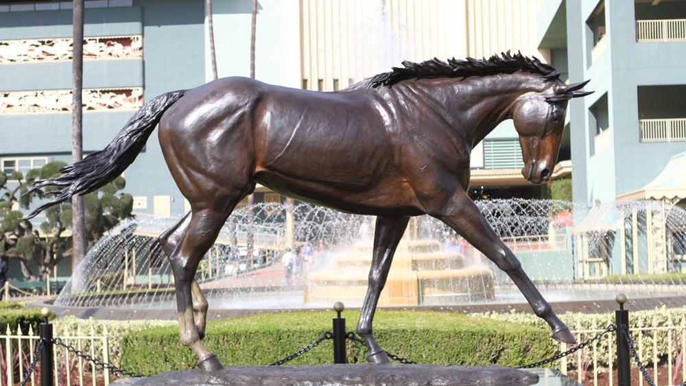 Zenyatta Horse