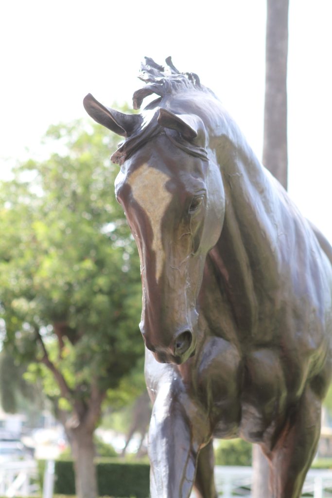 Zenyatta Horse