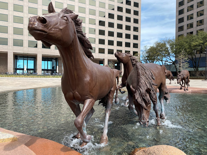 Mustangs of Las Colinas