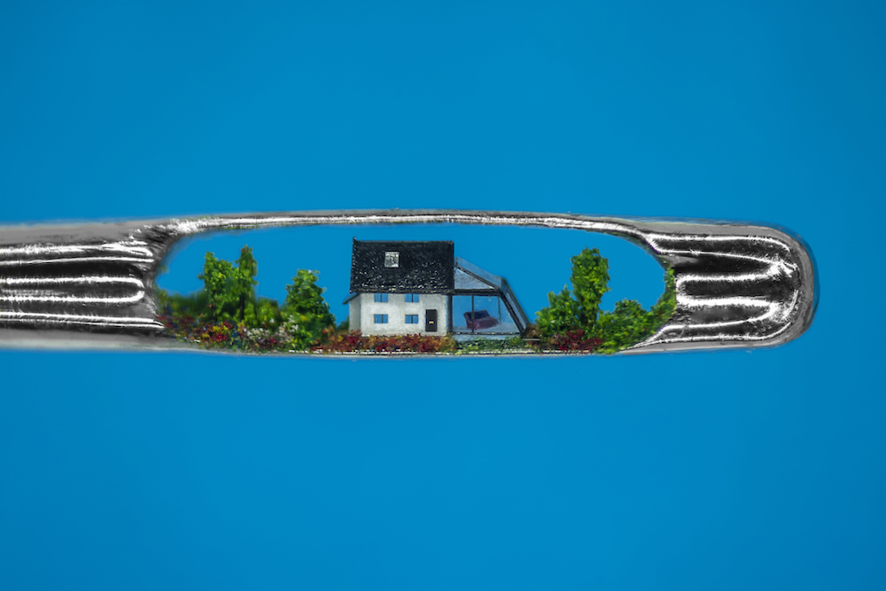 willard wigan