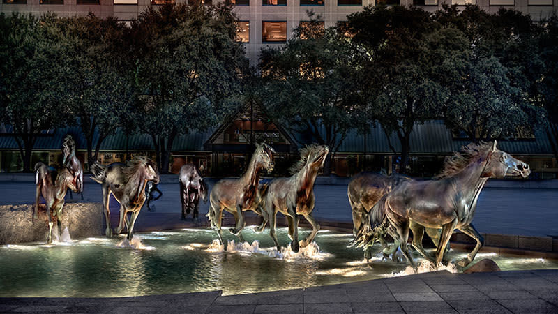 mustangs of las colinas
