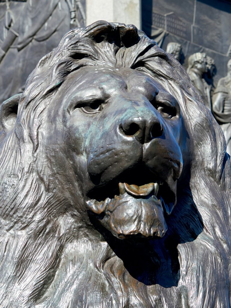 Trafalgar Square Lion