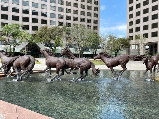 Mustangs of Las Colinas