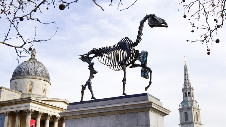 gift horse