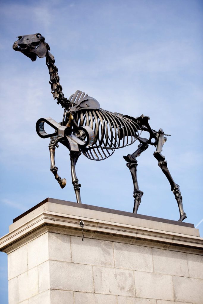 Gift Horse