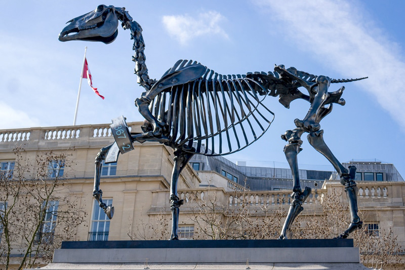 skeleton horse sculpture