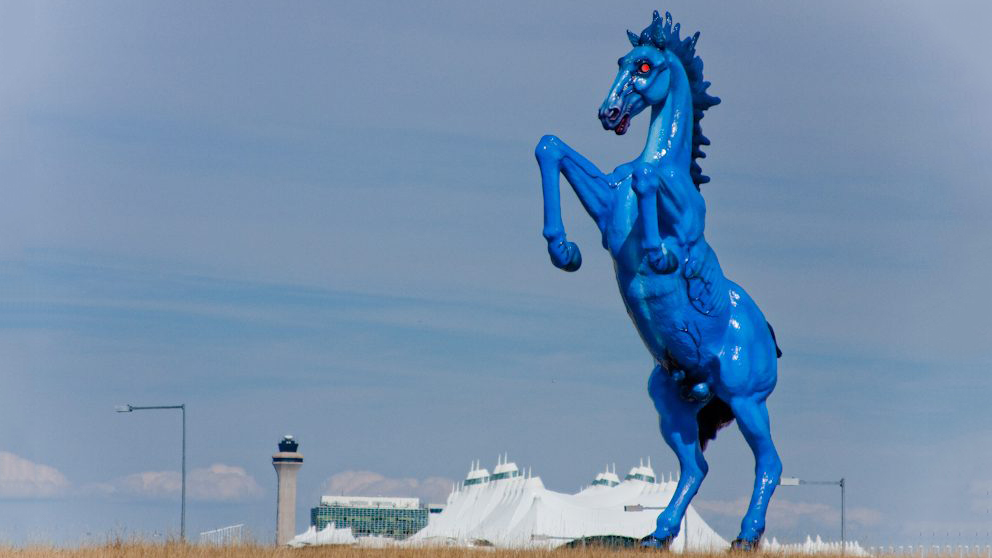 blue mustang