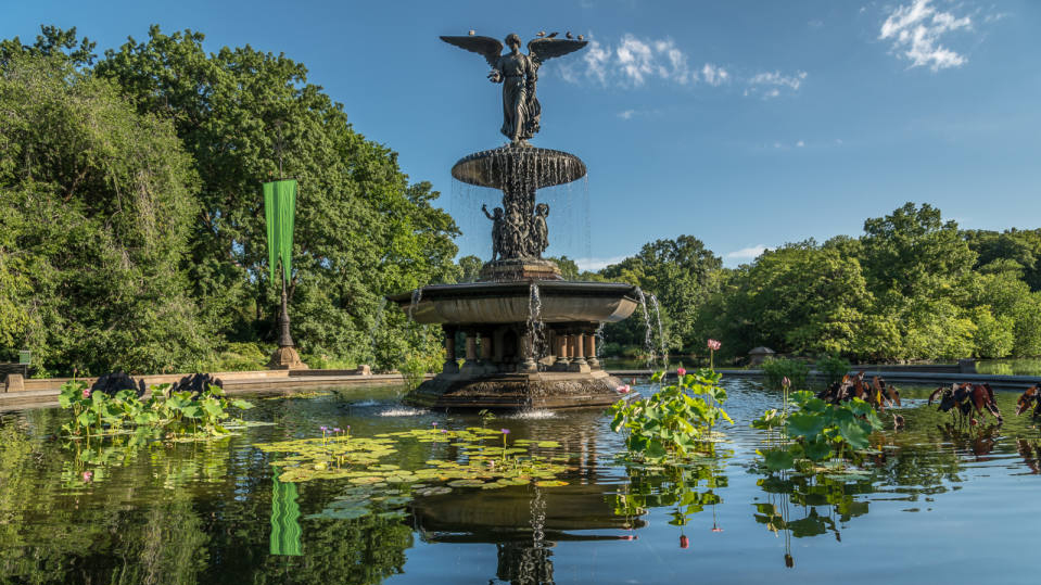 Bethesda Terrace and Fountain