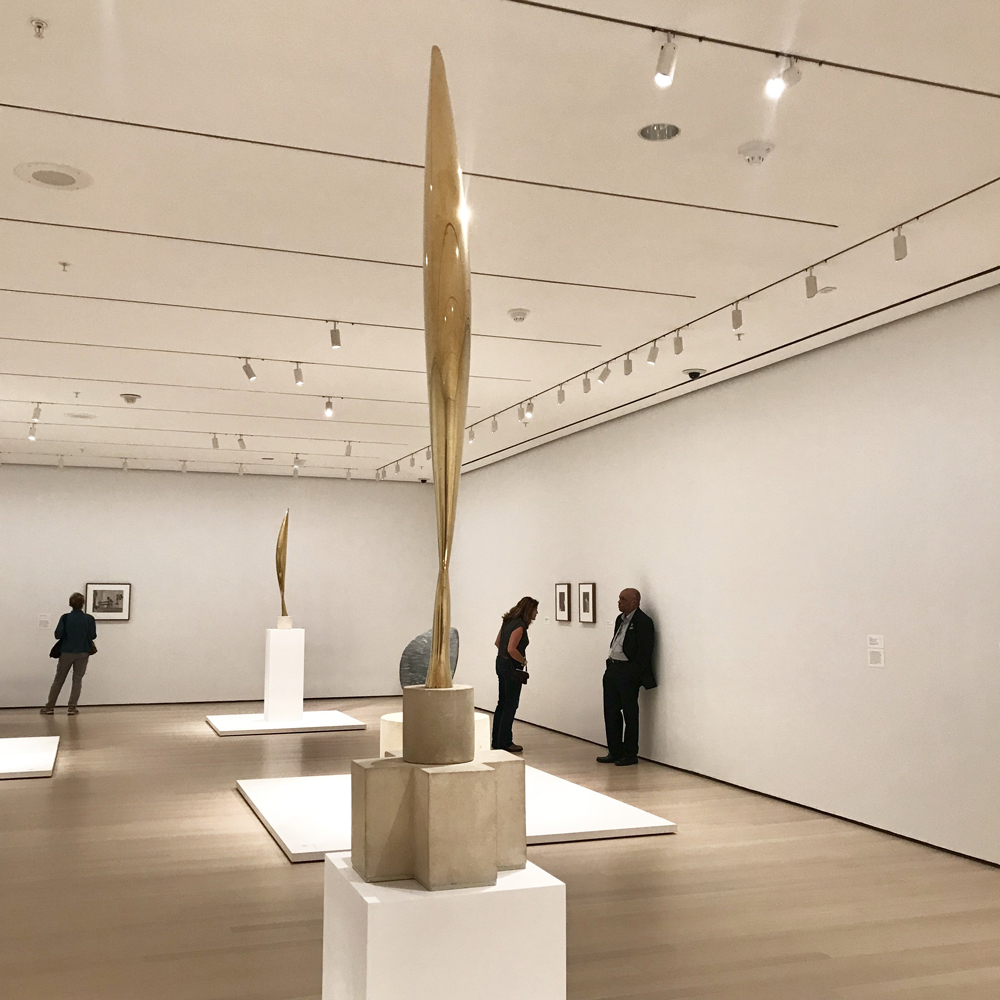 Bird in Space by Constantin Brancusi