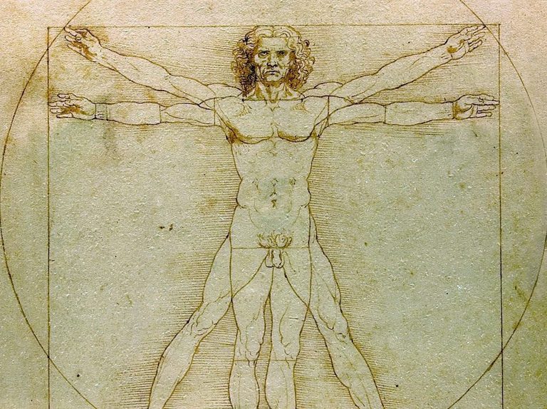 Michelangelo's Vitruvian Man