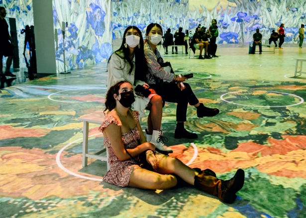 immersion van gogh