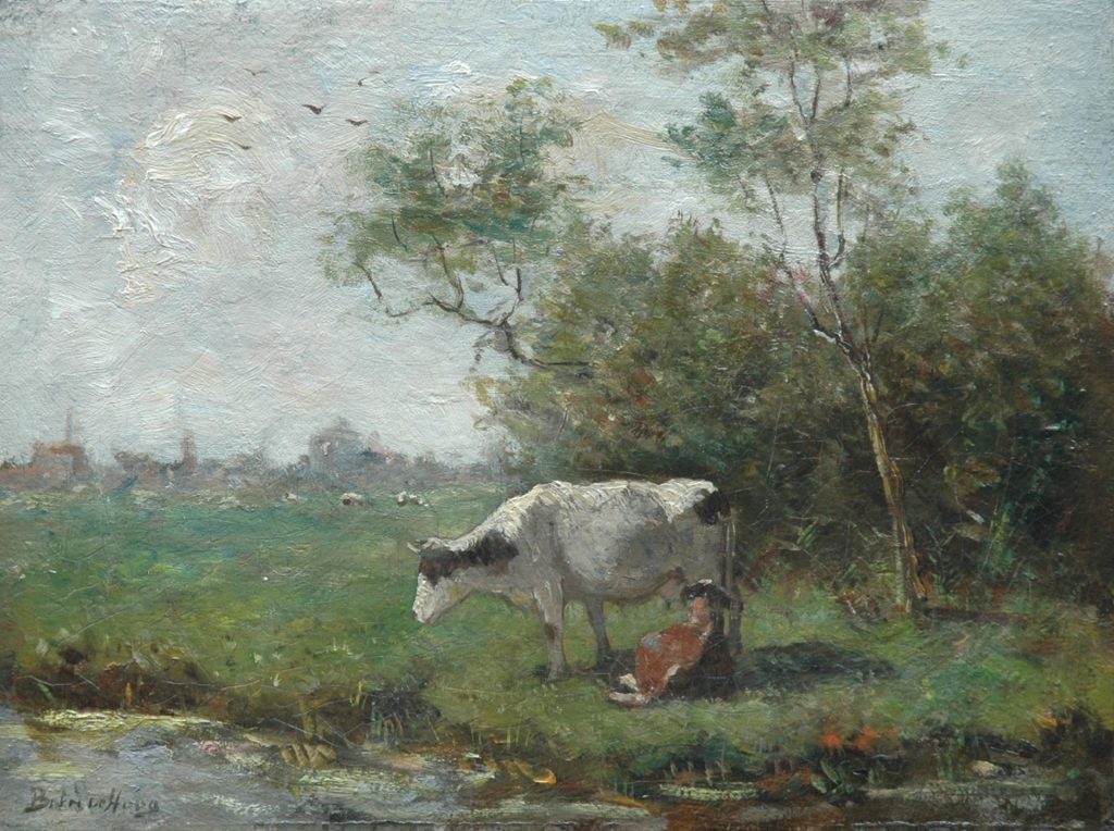 calf artwork