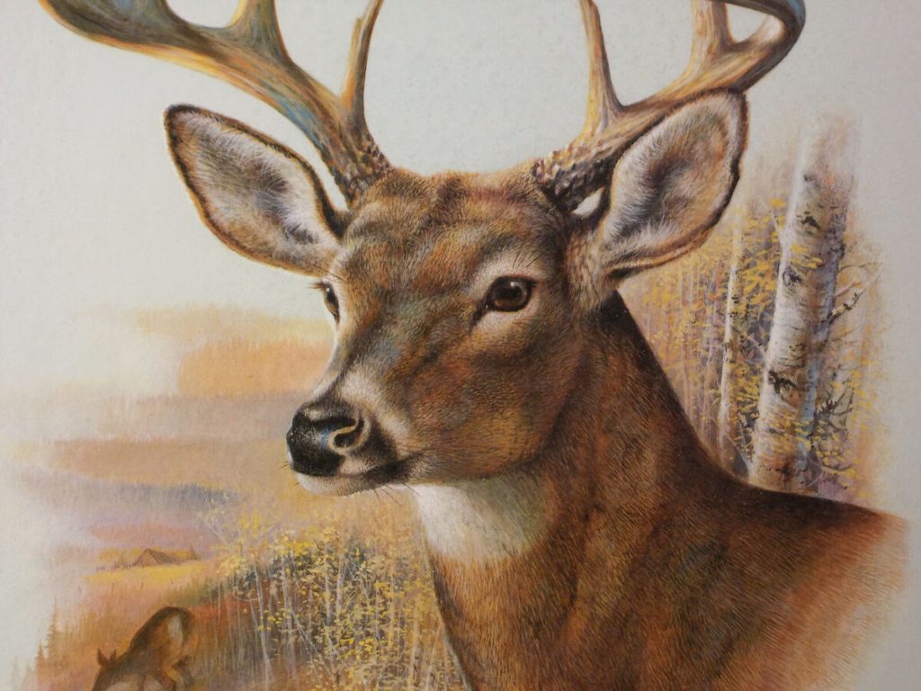 realistic deer art