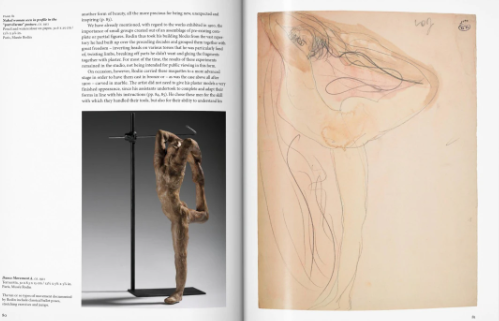 rodin taschen
