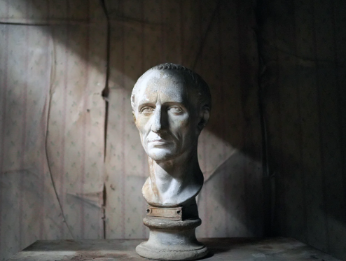 Julius Caesar Busts in Libraries and Academic Architecture